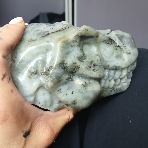 LARGE LABRADORITE T-REX CRYSTAL SKULL - Picture 6 of 6